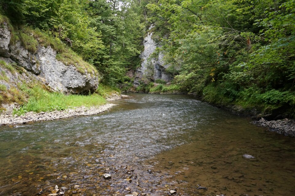 River water river basin