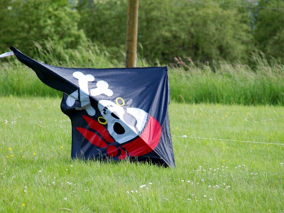 Kids dragon wind kite flying
