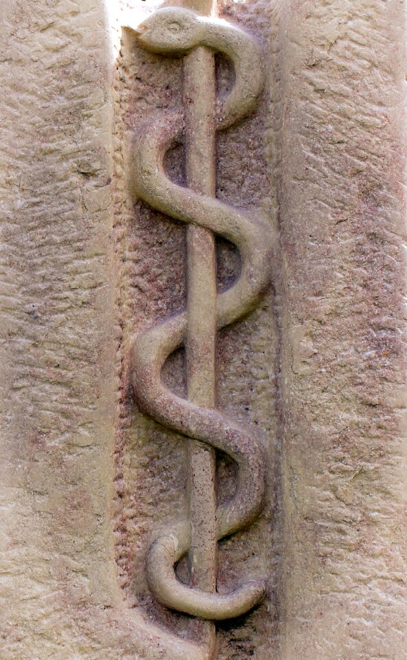 Snake äskulapstab asclepius staff