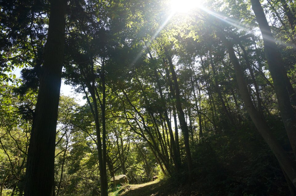 Sun solar light shadow
