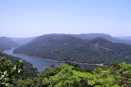 Mountains dense forest evergreen