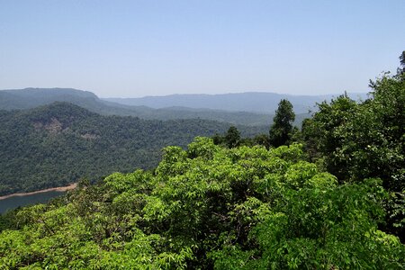 Mountains dense forest evergreen