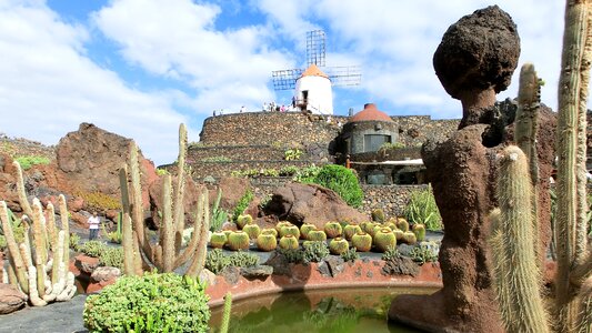 Lanzarote jardin de cactus gofiomuehle