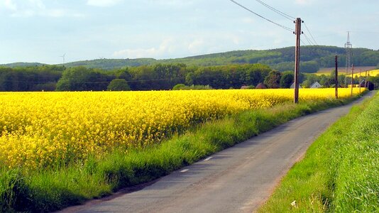 Away nature landscape