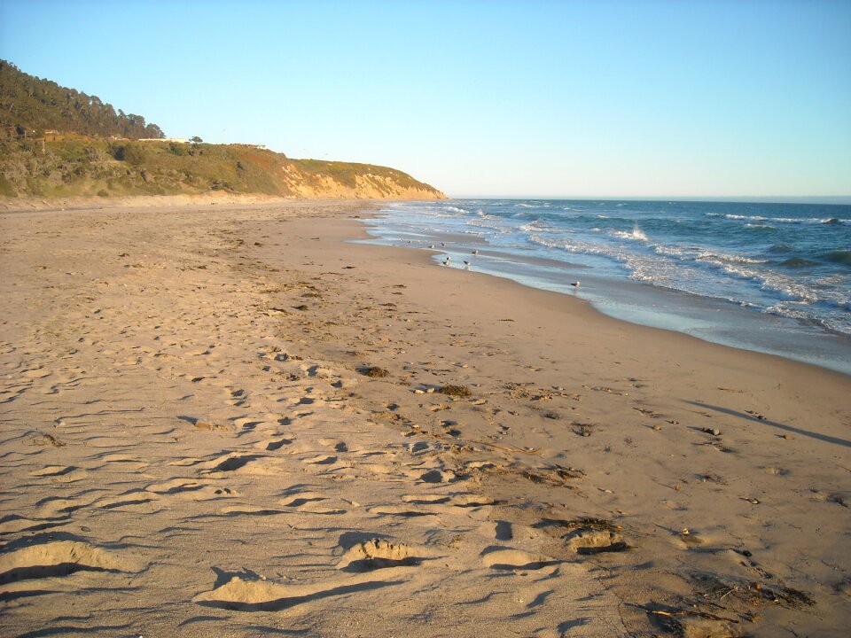 Pacific shoreline surf