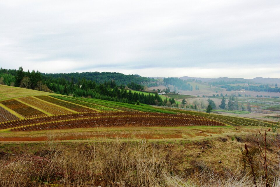 Outside scenery country