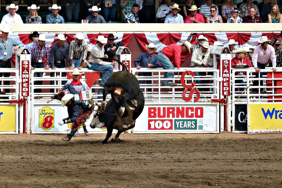 Albert canada competition