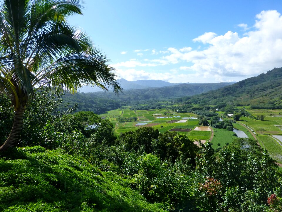 Farm land countryside