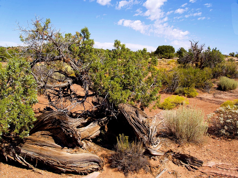 Desert rocks landscape