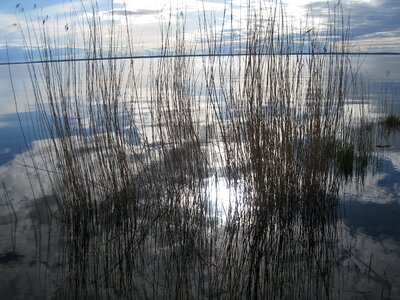 Spring lake cloud