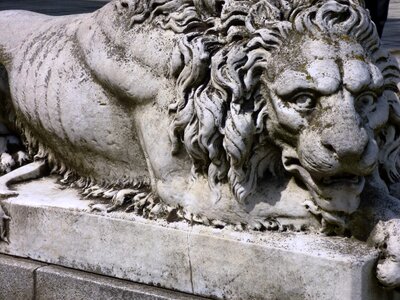 Sculpture lion animal photo