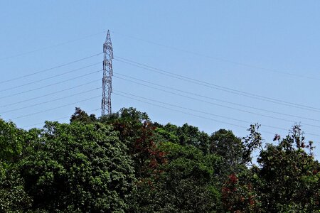 Lines high voltage thick forest