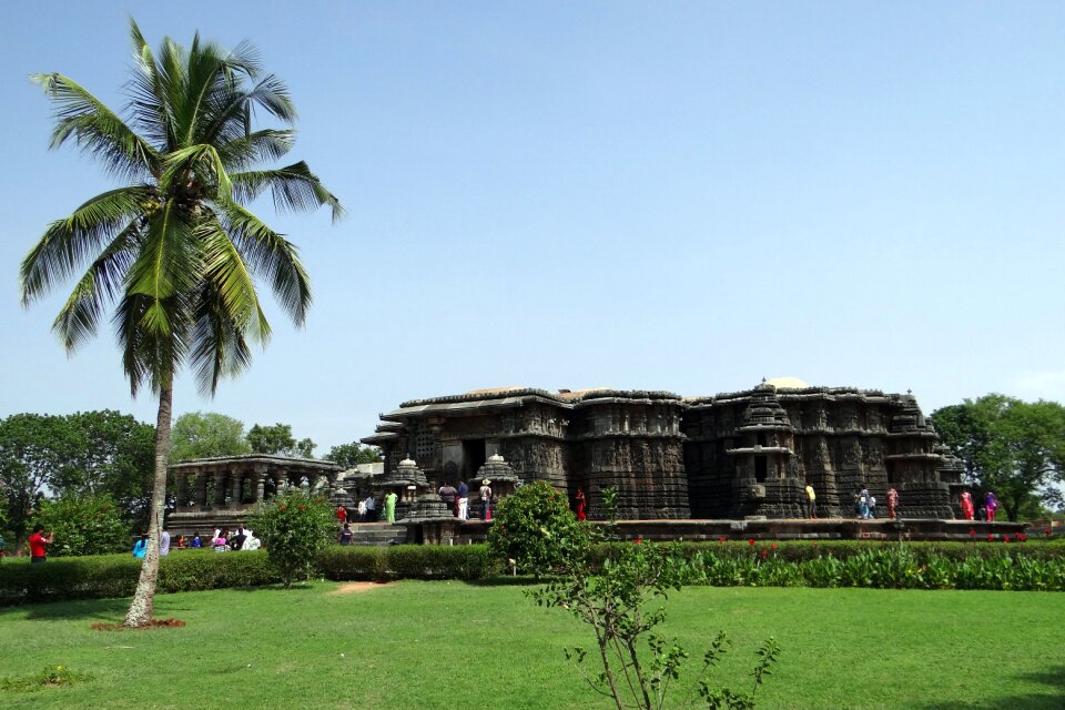 Coconut tree hoysala architecture ancient photo