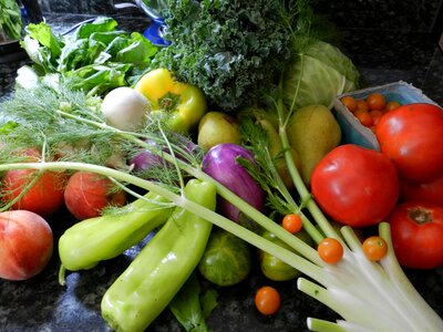 Cabbage food healthy photo