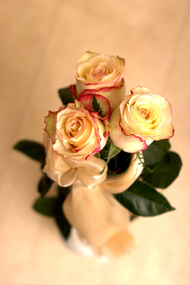 Bouquet bridal bouquet bride