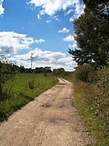 Landscape summer puddle