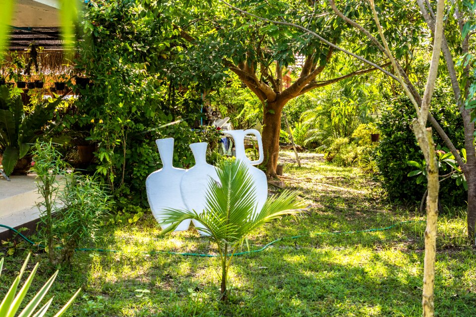Garden nature horticulture