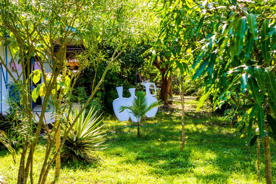 Garden nature horticulture