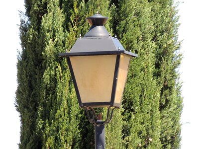 Tree contrast lantern