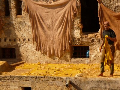 Skins the tannery artisans
