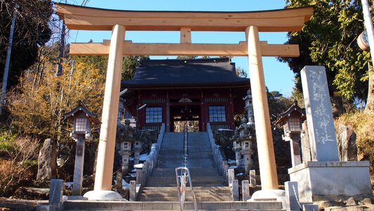 Torii shrine japan photo