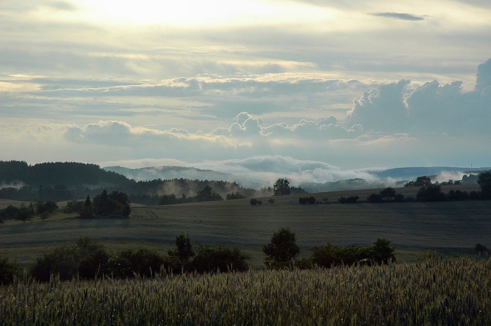 Fog hinterhermsdorf landscape