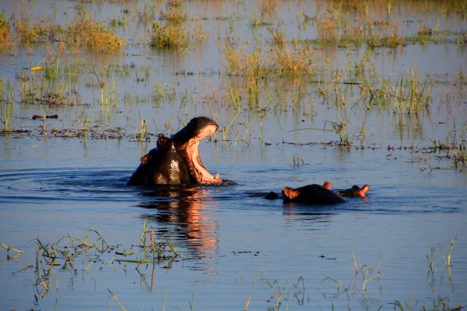 River nature africa