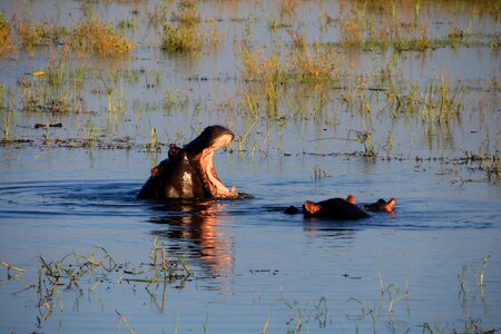 River nature africa