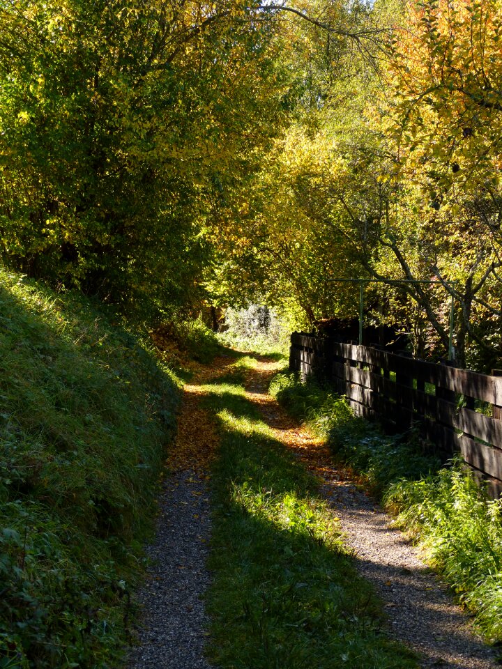 Nature landscape away