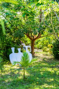 Garden nature horticulture