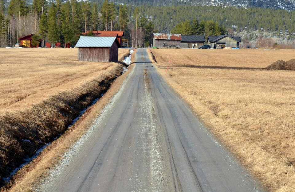 Road landscapes nature