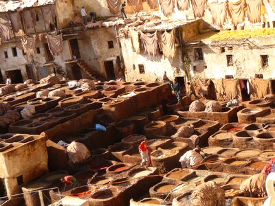 Skins the tannery artisans