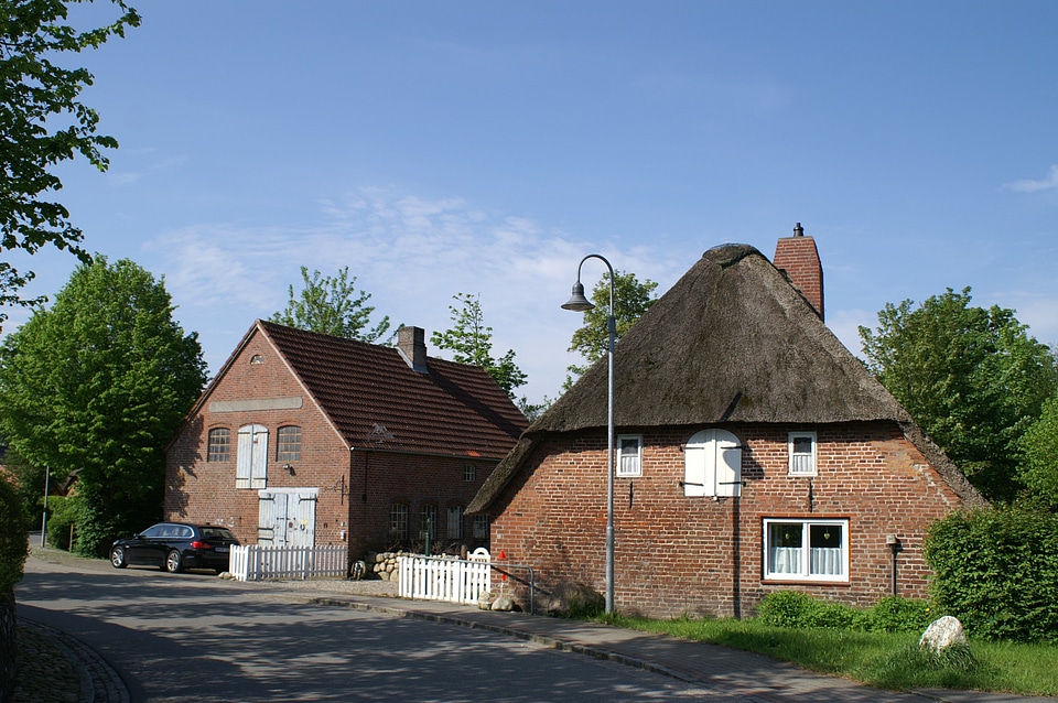 Dog holiday north sea thatched roof