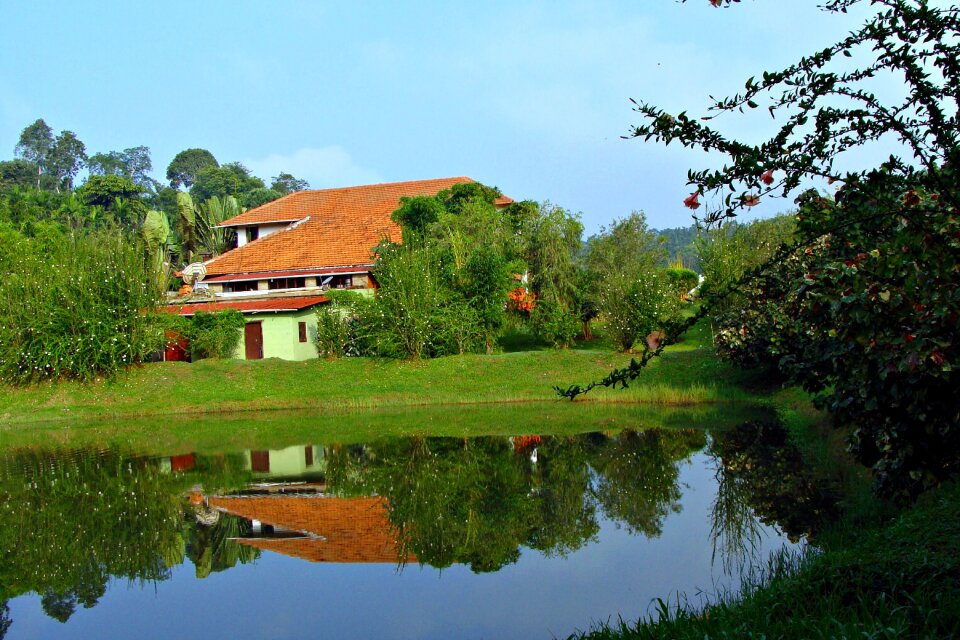 Pond reflection kadkani