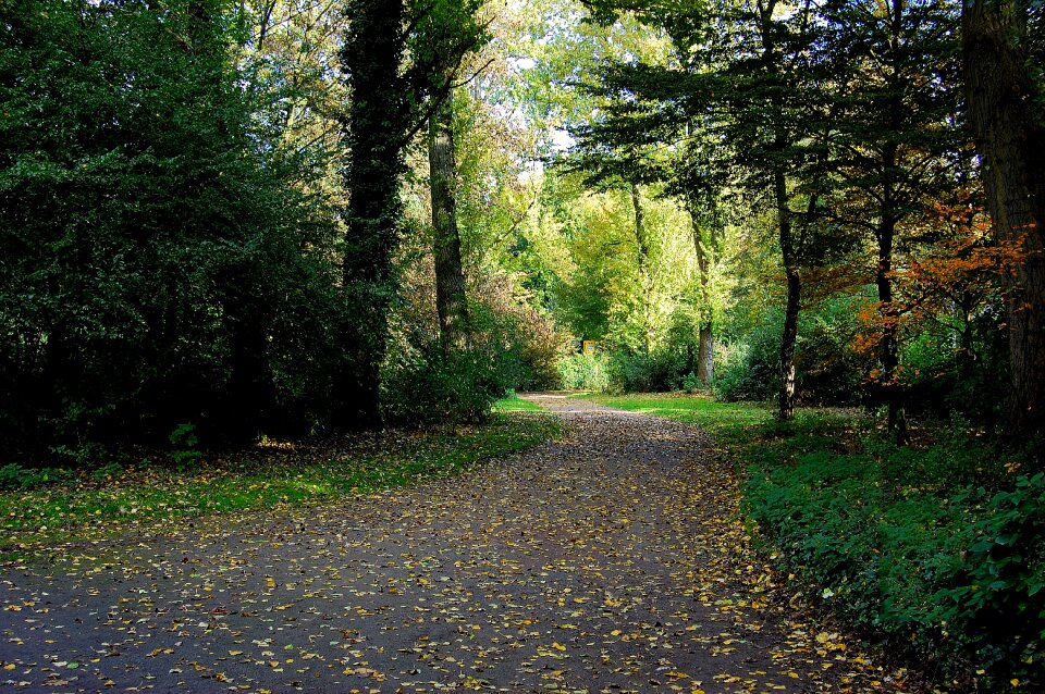 Mood atmosphere autumn