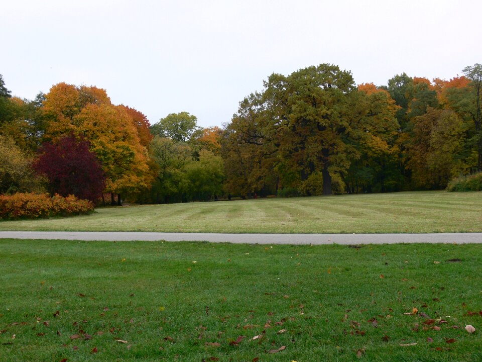 Nature leaves park