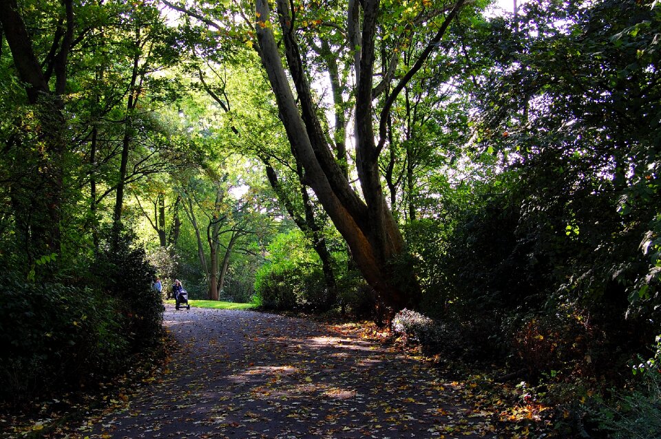 Fall foliage hiking rest photo