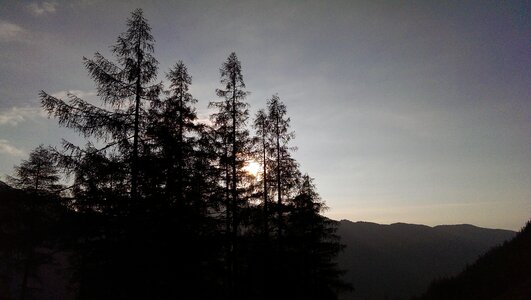 Sunlight forest twilight photo