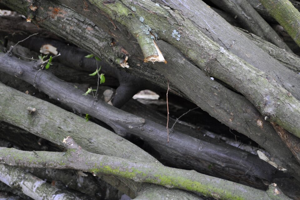 Wood sticks Free photos