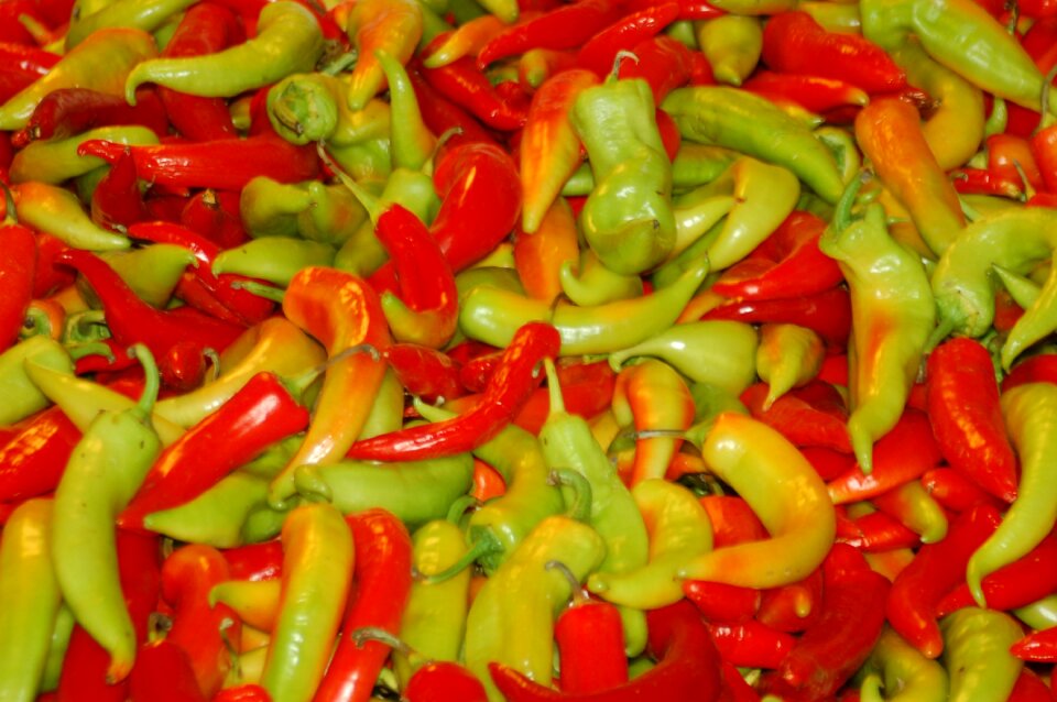 Pepper vegetables spicy