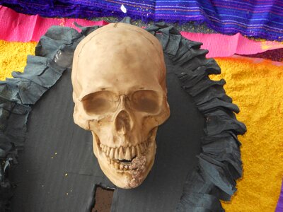 Skull day of the dead mexico