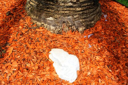 Tree rondelle wood chips orange