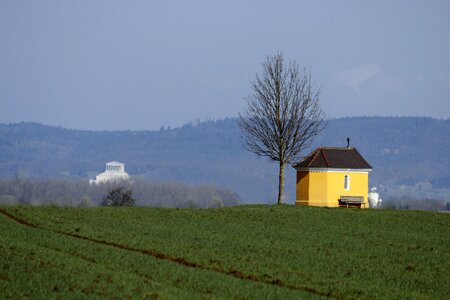 Chapel tree field