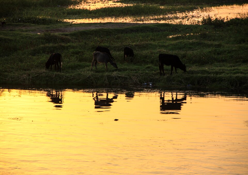 Mirroring water reflection landscape