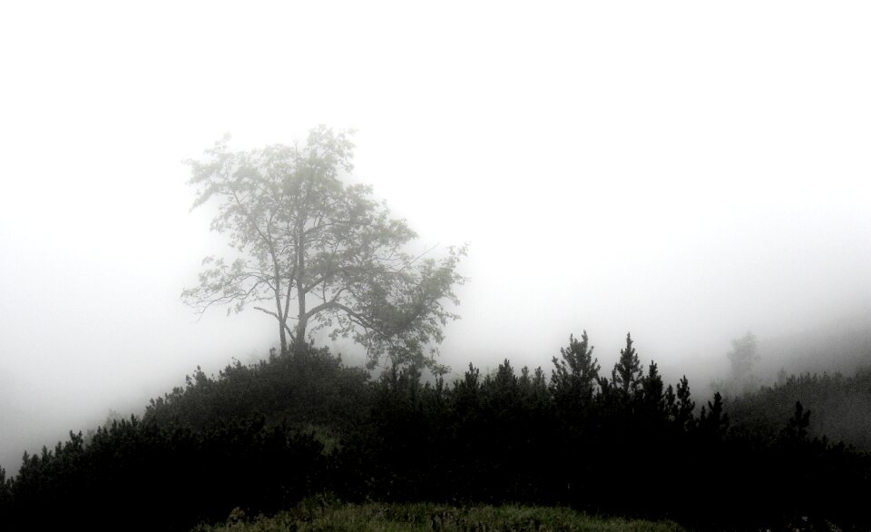 Mood unterberg mysterious