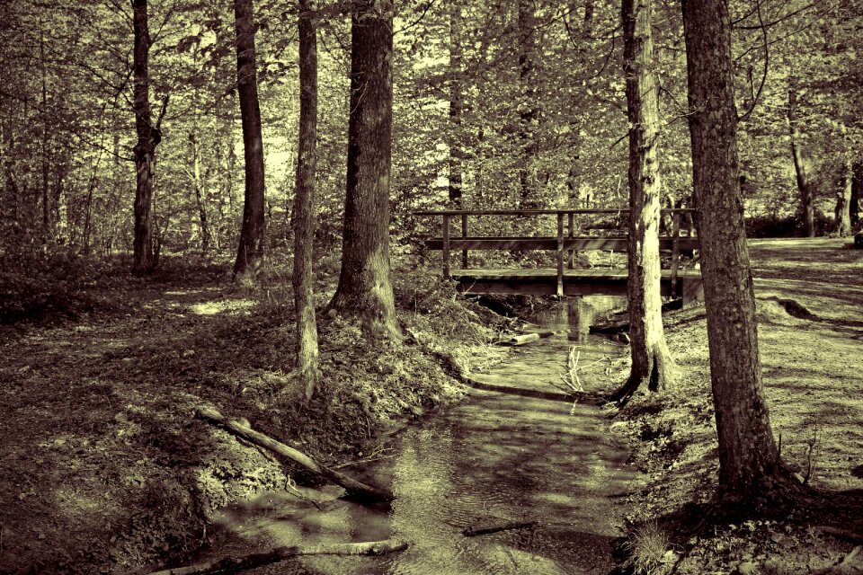 Watercourse wave bridge