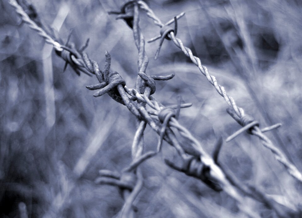 Limit demarcation fence