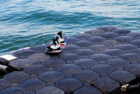 Lake constance romanshorn switzerland