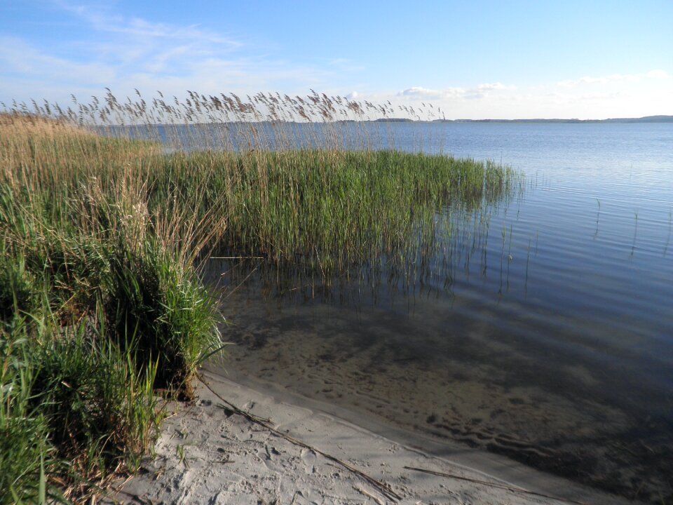 Sandy shore island of usedom spring