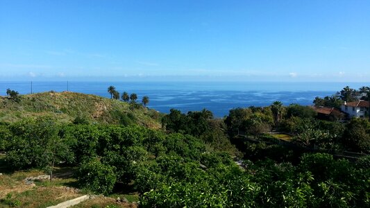 Tenerife nature landscape
